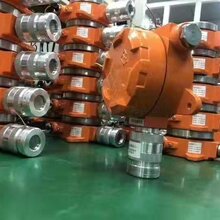 FT01固定式可燃气体探测器图片