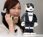 阜阳电销机器人安装智能AI电话机器人电销系统