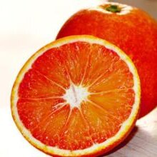 【橙子】-2017年橙子价格行情_橙子图片_橙子