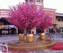 北京假桃花树出售北京卖仿真树厂家