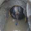 新疆-市政管道堵水氣囊價格-閉水試驗氣囊生產廠家