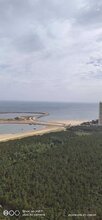 2019龙口海景房价格如何,金沙滩一下海景养生城图片