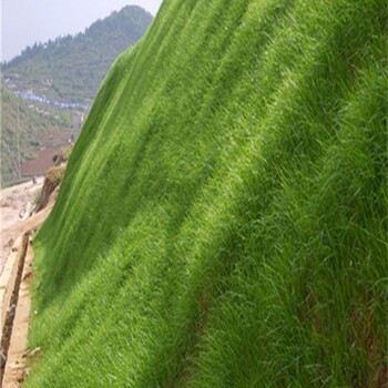 礦山復(fù)綠種草客土噴播