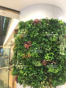 植物墙北京哪里有卖仿真植物墙假植物墙绿植墙定做