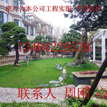 苏州高档别墅庭院设计、豪宅别墅景观设计、高端庭院景观绿化工程图片