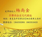 常年为崇福，尚村，辛集，大营等皮毛商