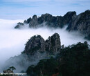 黄山+西递宏村双卧4日游图片