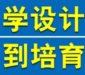 东莞厚街万达广场零基础学习办公软件