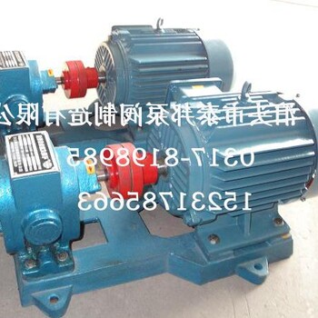 ZYB29-4.0B高压燃油齿轮泵——RCB保温油泵,泊泰邦出厂合格率达
