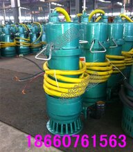 BQS矿用隔爆潜水泵厂家直销价格最低价规格型号种类齐全图片