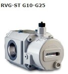 RVG-STG10-G25气体腰轮流量计