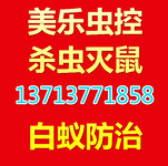 深圳专业消杀蟑螂公司家庭服务