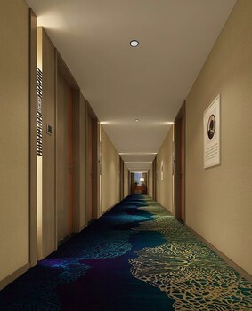 满铺地毯酒店地毯会议室地毯