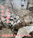 贵州黔西南采石场大型岩石分裂机