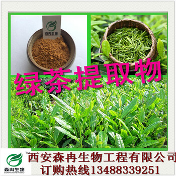 茶多酚98%绿茶提取物儿茶素森冉生物厂家