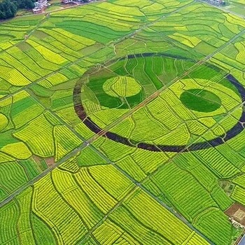 恺易物联网智慧农业解决方案之智能大棚监控系统