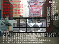 泸州聚合物修补砂浆生产厂家、泸州高强修补砂浆价格图片3