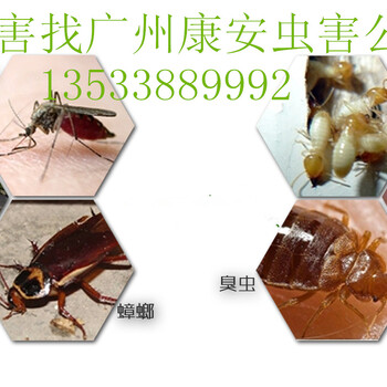 广州消杀蟑螂公司，上门除蟑螂收费标准，环保连环灭蟑