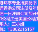 香港公司年审需要提交的资料图片