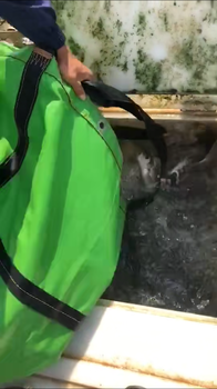 廈門篷布廠魚池定制_防水帆布水袋_帆布游泳池_篷布水池