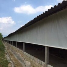 透光養殖豬場卷簾_PVC蓬布_佛山農用養殖篷布帆布加工廠圖片