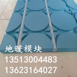 邵阳市干式薄型水地暖地暖保温模块包邮价图片1