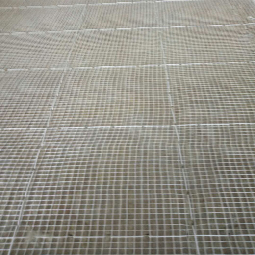 龙海市岩棉网织增强安围网自产自销