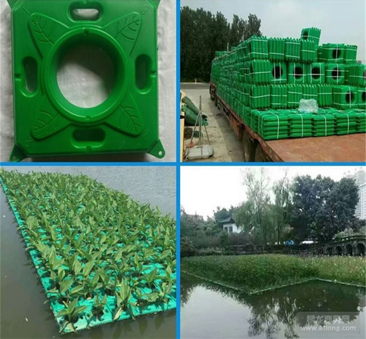 衡南县荷花睡莲浮岛浮床污水共治浮岛水上园艺设计
