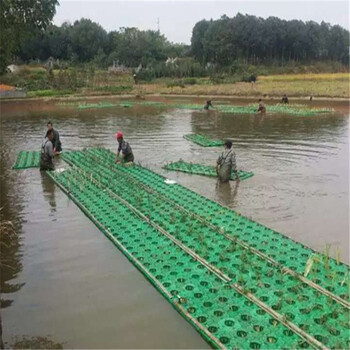 福清市水上抗风浪无土栽培生态浮床哪里有卖