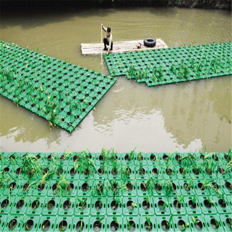 鸡东县水上生态浮床货比三家