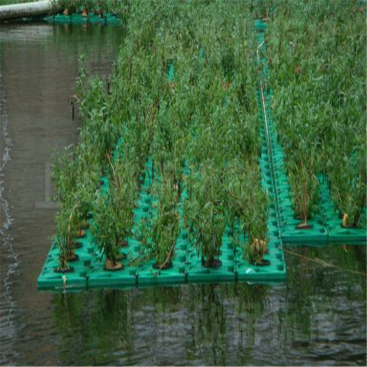 望城区全新料水上种植荷花浮岛河道绿化