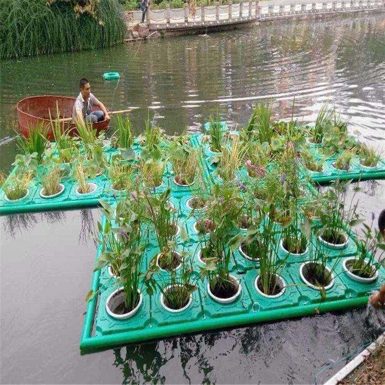 冕宁县全新料水上种植荷花浮岛河道绿化
