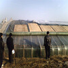 天元冬季用温室防火防水保温棉被定做生产