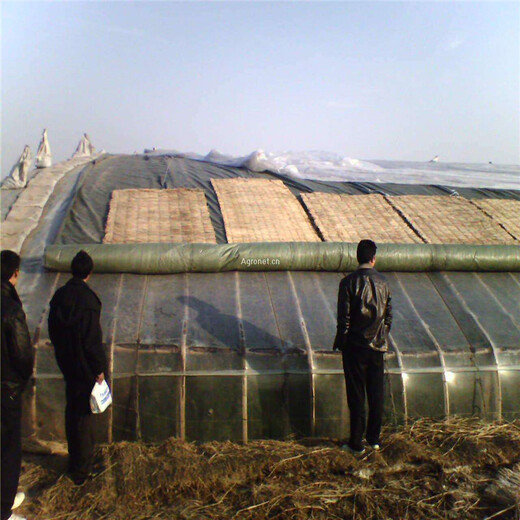 龙海市冬季用温室防火防水保温棉被生产厂家