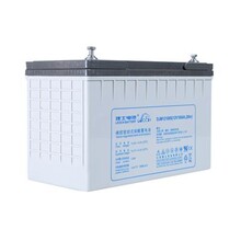 理士蓄电池DJM12-100阀控式密封铅酸蓄电池12v100ah直流屏专用