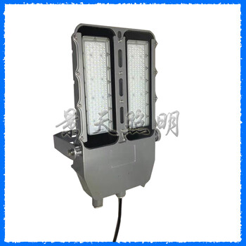 海洋王BFC8115-L100（100W雙模組LED防爆泛光燈）