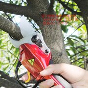 【四川猪粪有机肥生产线成套设备v猪粪?有机肥揭阳阳美玉器图片