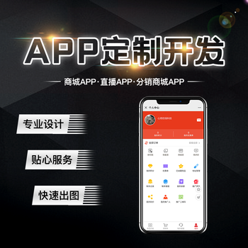 软件开发定制app设计15年定制