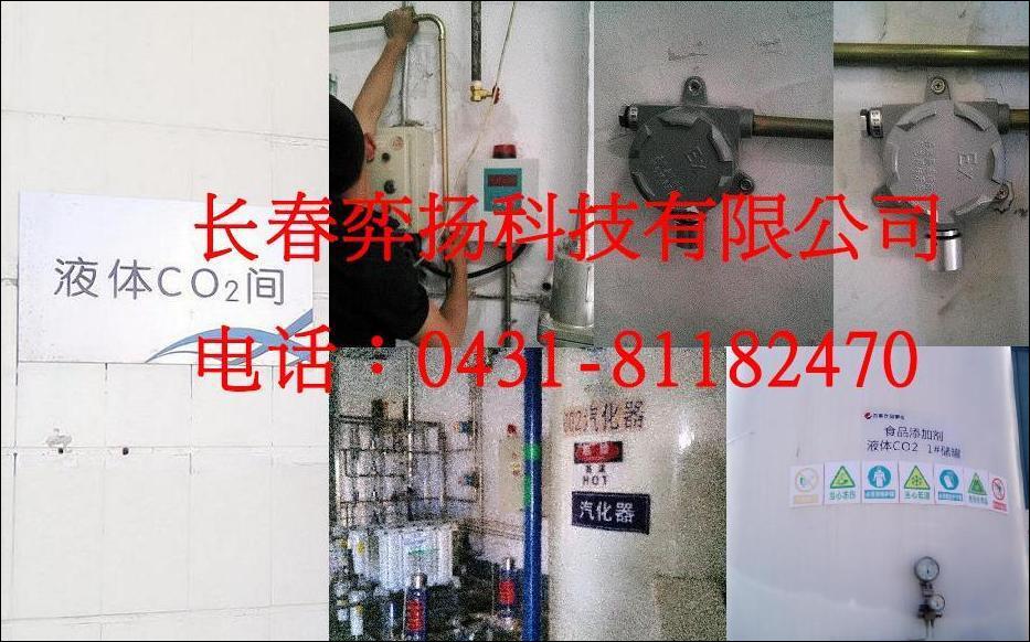 二氧化碳报警器,CO2气体检测报警器HFTCY-CO2