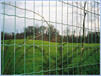 瑞才批发养殖用卷状绿色30米长围栏荷兰网（一卷起订）