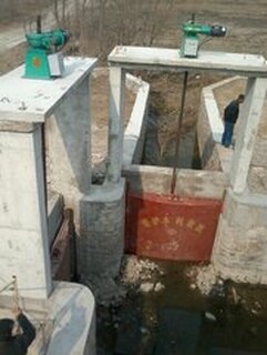 上海8吨螺杆式启闭机，双吊点启闭机一套起订图片6
