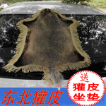 獾皮的功效与作用野生獾皮真皮毛天然防止痔疮汽车坐垫