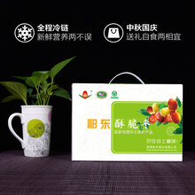 四川果树苗批发——祁东酥脆枣图片