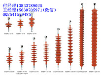 悬式绝缘子FXBW-10/100图片0