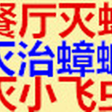 上门杀虫公司，餐饮区办公区灭蟑螂公司、彻底根治蟑螂