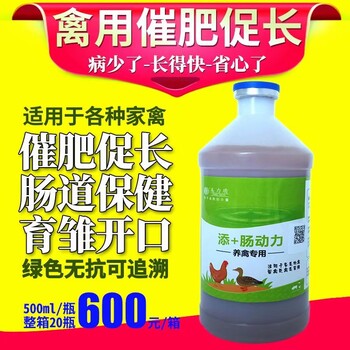 不知道肉鸭后期催肥伤亡大的原因得肉鸭养殖户看过来了