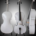 北京小提琴大提琴樂器租賃銷售批發培訓價格便宜好口碑圖片5