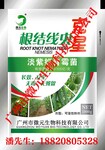 大姜根结线虫特效药淡紫拟青霉菌根线虫生物