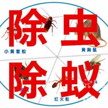天津和平区小区物业灭蚊蝇公司，灭老鼠，灭蟑螂