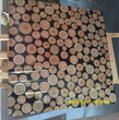 佛山TOE柔光玻化——-----通体大理石瓷砖3d地毯砖厂家图片